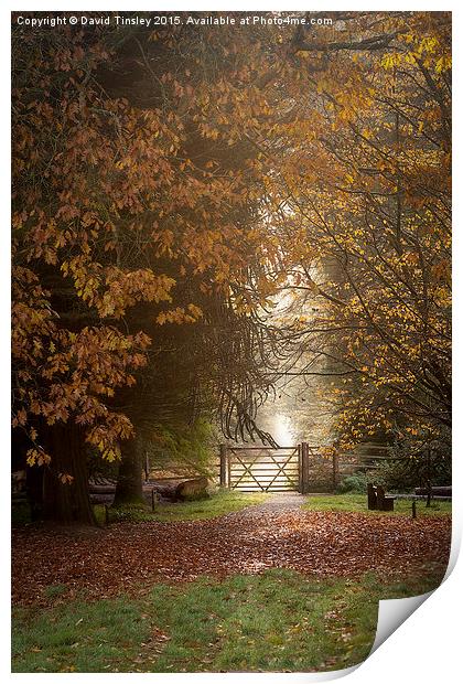  Autumn Gateway 2 Print by David Tinsley