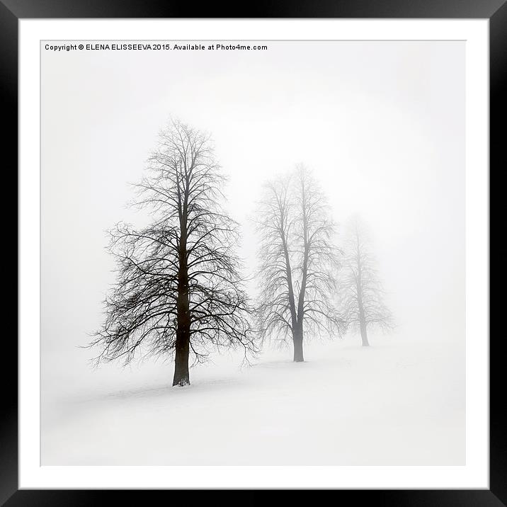 Winter trees in fog Framed Mounted Print by ELENA ELISSEEVA