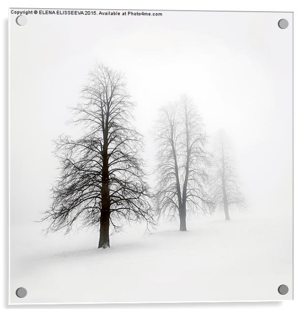 Winter trees in fog Acrylic by ELENA ELISSEEVA