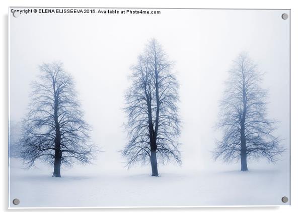 Winter trees in fog Acrylic by ELENA ELISSEEVA