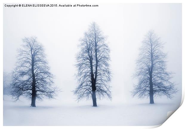 Winter trees in fog Print by ELENA ELISSEEVA