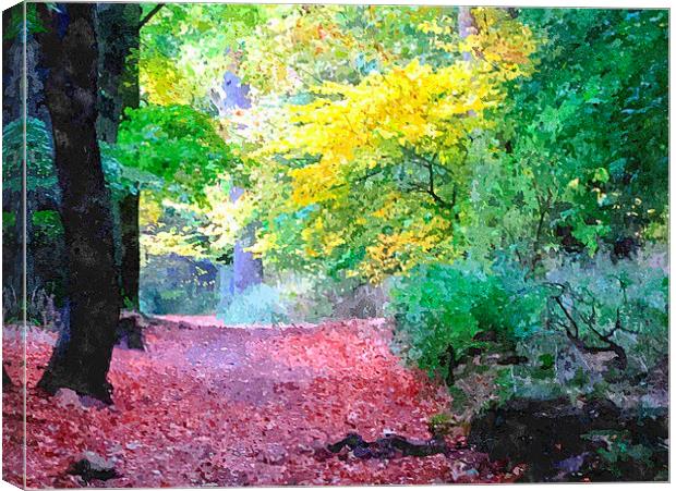 fall shot with alittle color....  Canvas Print by dale rys (LP)