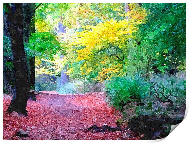  fall shot with alittle color....  Print by dale rys (LP)