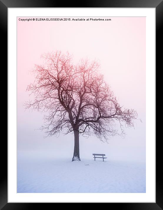Winter tree in fog at sunrise Framed Mounted Print by ELENA ELISSEEVA