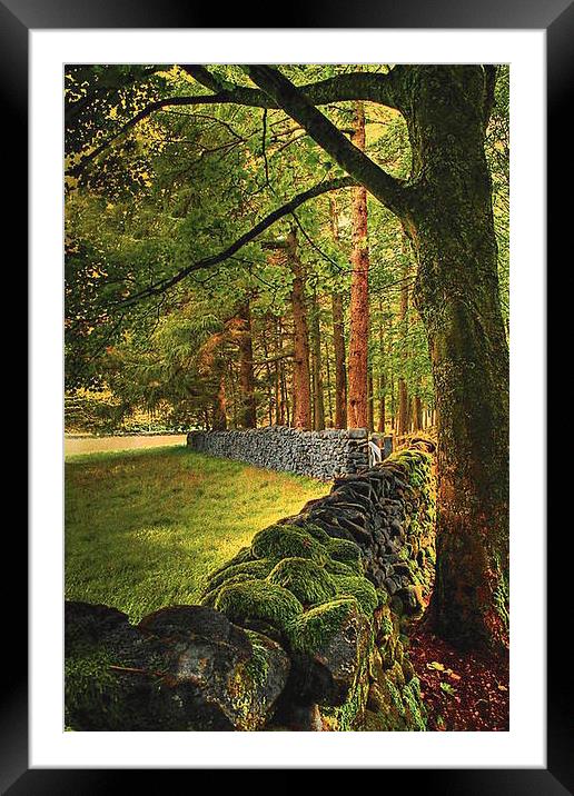  Trough of Bowland Framed Mounted Print by Irene Burdell