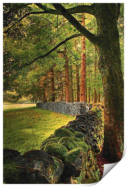  Trough of Bowland Print by Irene Burdell