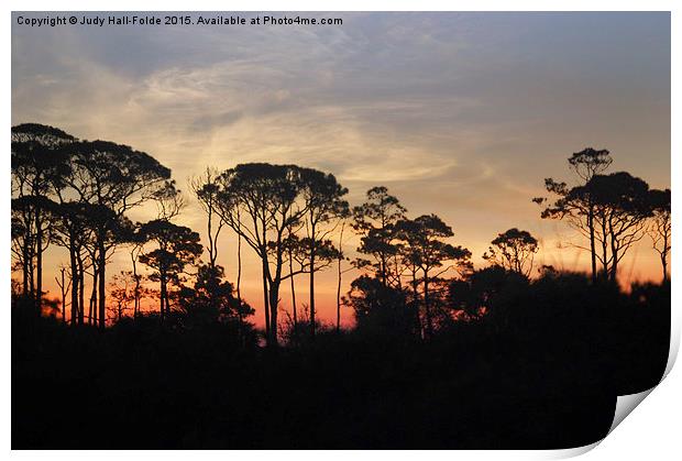 What a Beautiful Morning Print by Judy Hall-Folde