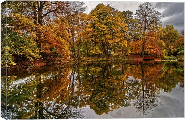 Lumsdale Autumn Reflections  Canvas Print by Darren Galpin