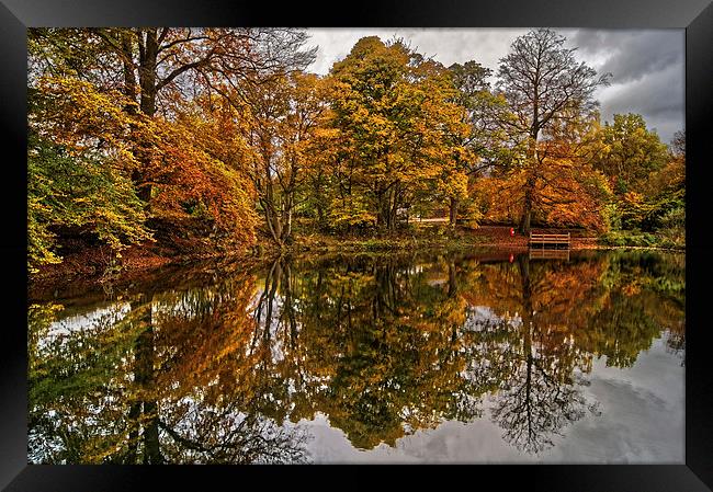 Lumsdale Autumn Reflections  Framed Print by Darren Galpin