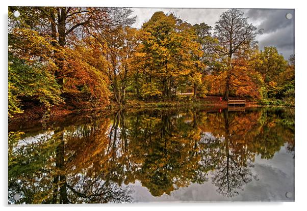 Lumsdale Autumn Reflections  Acrylic by Darren Galpin
