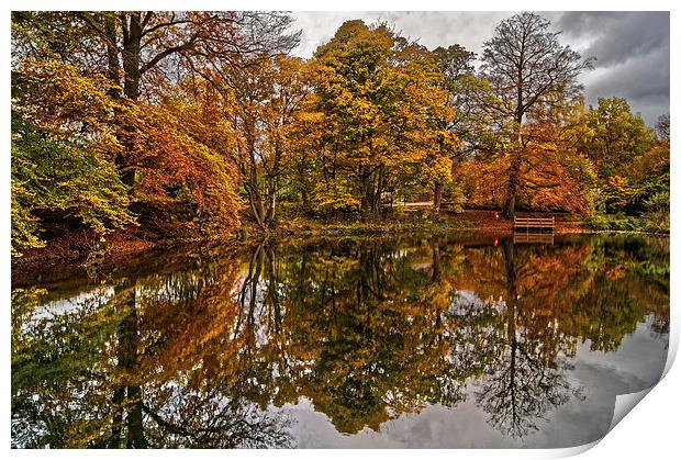 Lumsdale Autumn Reflections  Print by Darren Galpin