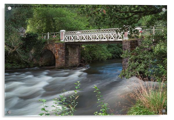 Marsh Bridge Acrylic by Pete Holyoak