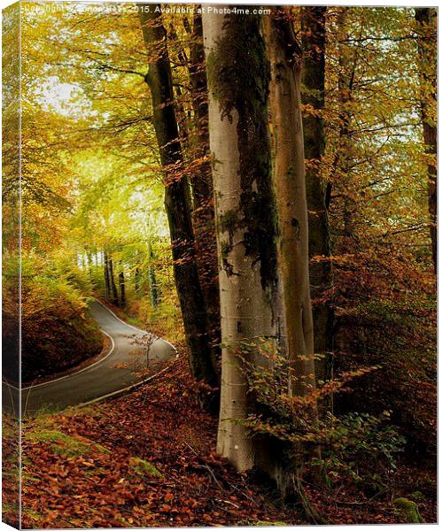  Autumn Leaves  Canvas Print by Simon Rees