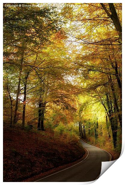  Autumn scene  Print by Simon Rees