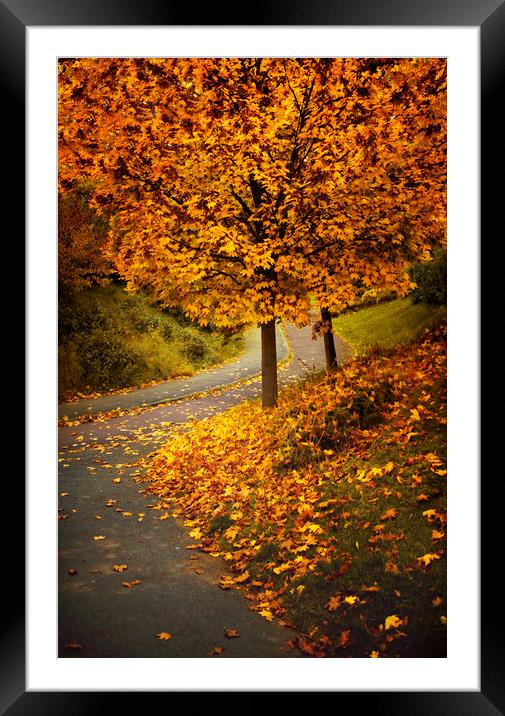  Autumn Framed Mounted Print by Svetlana Sewell