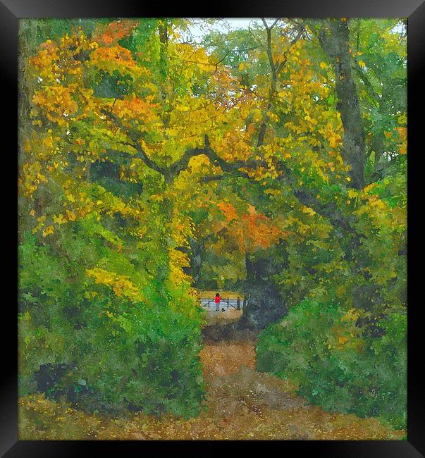  fall shot with alittle color....  Framed Print by dale rys (LP)