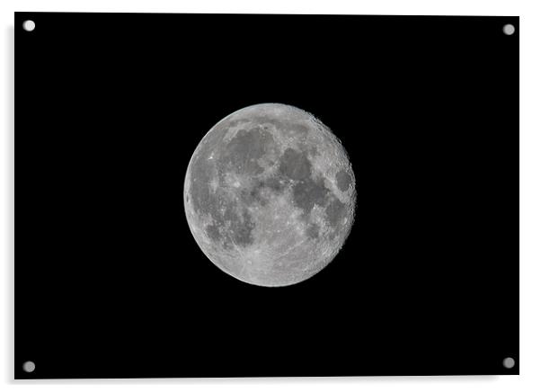 Moonstruck Acrylic by Stephen Ward