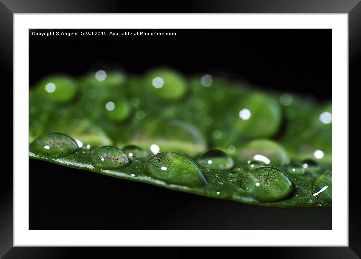 Trapped Sand in Water Droplets Framed Mounted Print by Angelo DeVal