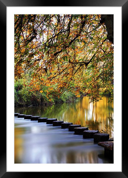  Stepping Stones Framed Mounted Print by Tedz Duran