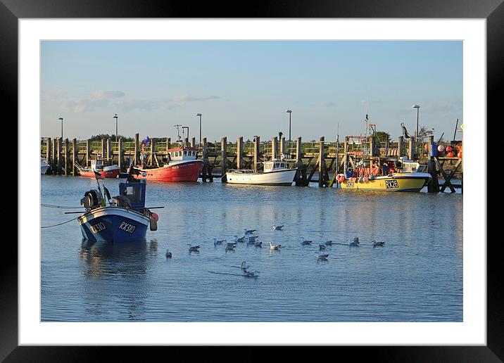  Rye Harbour, East Sussex Framed Mounted Print by Diana Mower