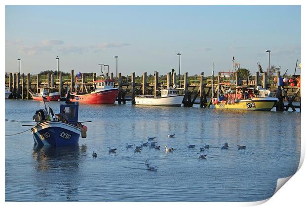  Rye Harbour, East Sussex Print by Diana Mower