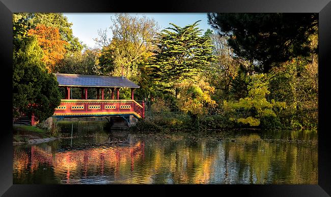  `Swiss Bridge` in Autumn Framed Print by Rob Lester