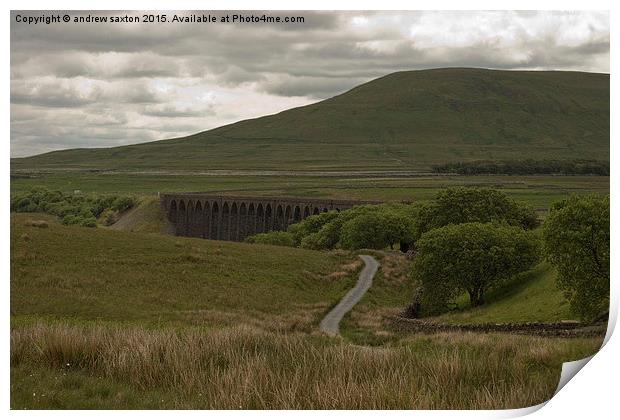  RIBBLEHEAD COUNTRYSIDE Print by andrew saxton