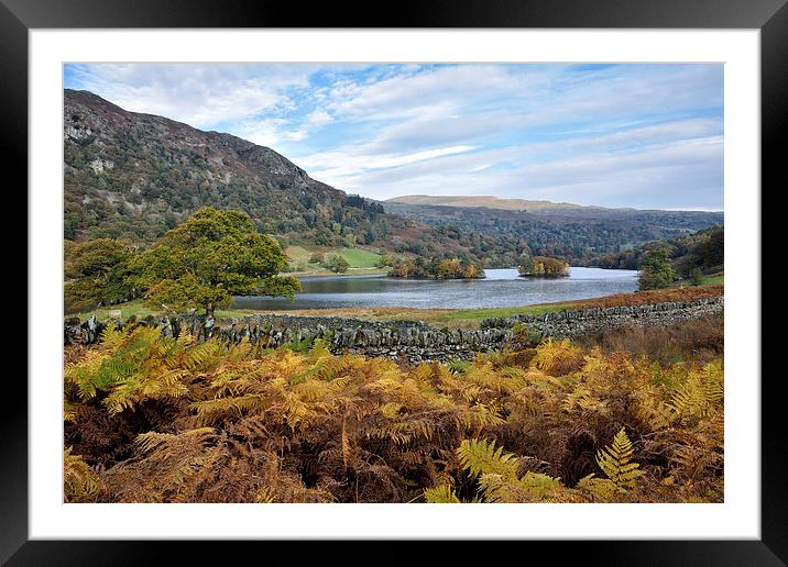 Autumnal Colours at Rydalwater Framed Mounted Print by Gary Kenyon
