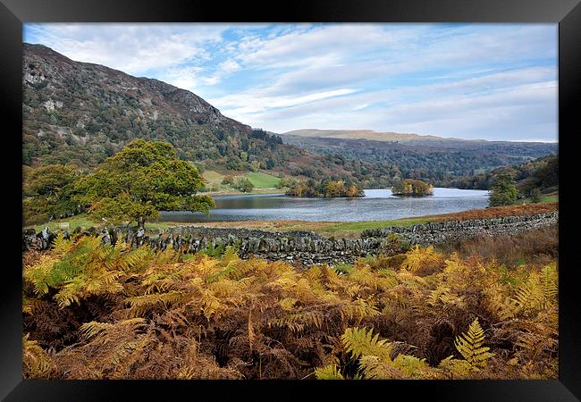 Autumnal Colours at Rydalwater Framed Print by Gary Kenyon
