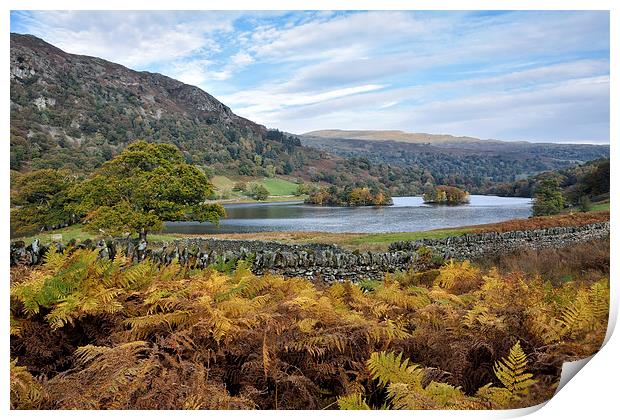 Autumnal Colours at Rydalwater Print by Gary Kenyon