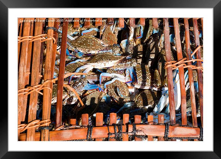 Catch of the Day ! Framed Mounted Print by Dave Carroll