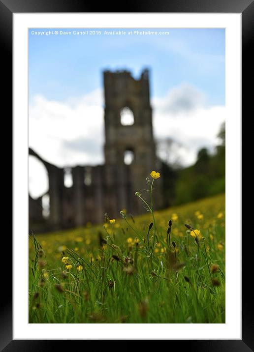  Spring at the Abbey Framed Mounted Print by Dave Carroll