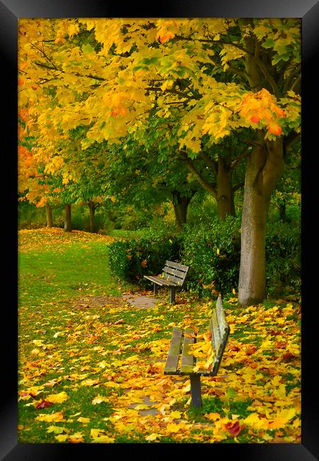  Autumn Bench Framed Print by Svetlana Sewell