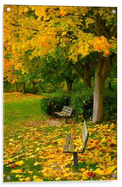  Autumn Bench Acrylic by Svetlana Sewell