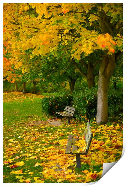  Autumn Bench Print by Svetlana Sewell