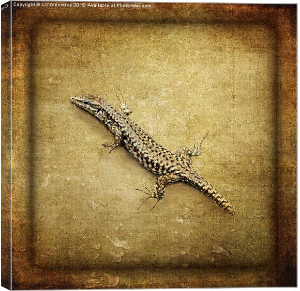  Lizard Canvas Print by LIZ Alderdice