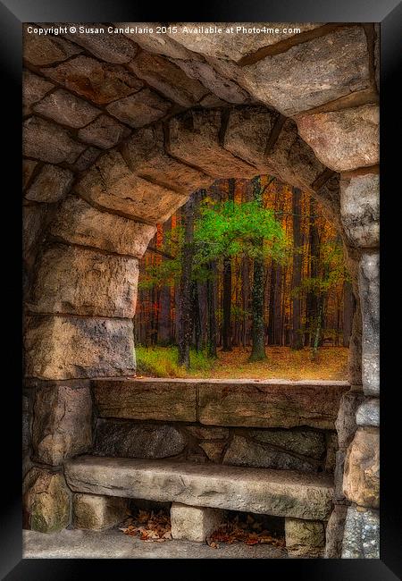Forest Contemplation Invite Framed Print by Susan Candelario