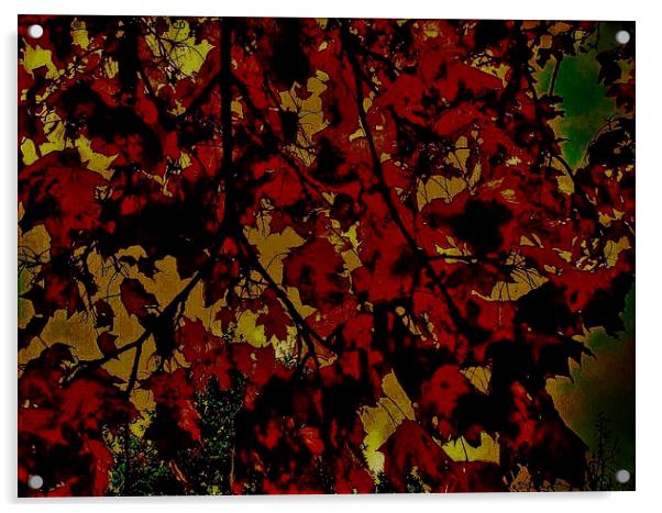  Autumnal Leaves Acrylic by Carmel Fiorentini