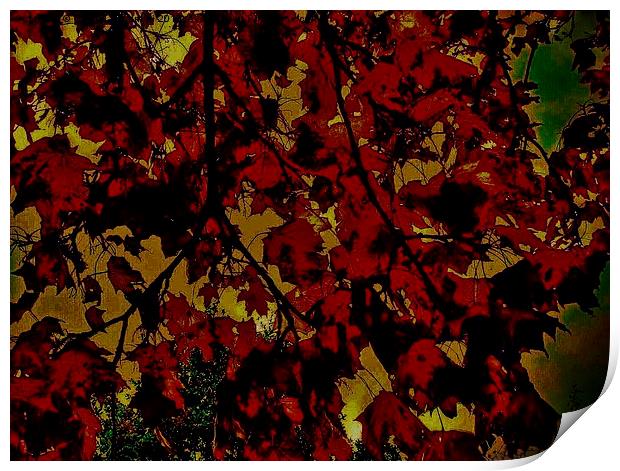  Autumnal Leaves Print by Carmel Fiorentini