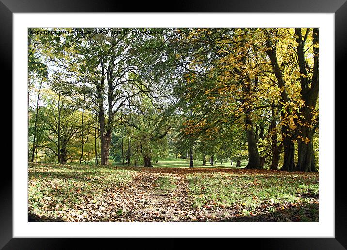  Auckland Park in Autumn Framed Mounted Print by Paul White