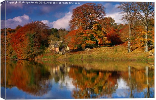  Autumn on the River Tyne at Hexham Canvas Print by Martyn Arnold