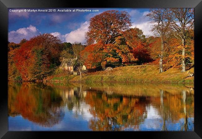  Autumn on the River Tyne at Hexham Framed Print by Martyn Arnold