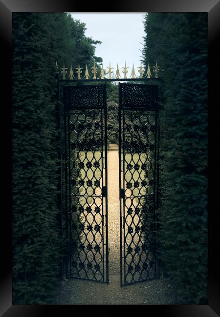  Iron Gate Framed Print by Svetlana Sewell