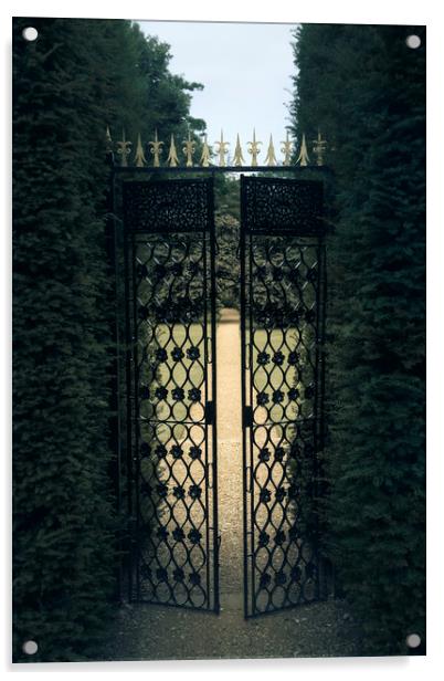  Iron Gate Acrylic by Svetlana Sewell