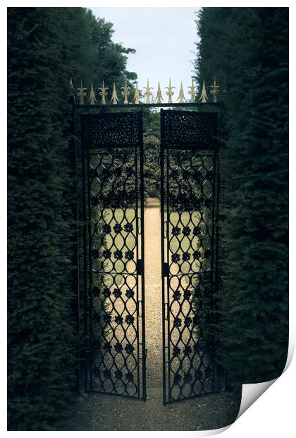  Iron Gate Print by Svetlana Sewell