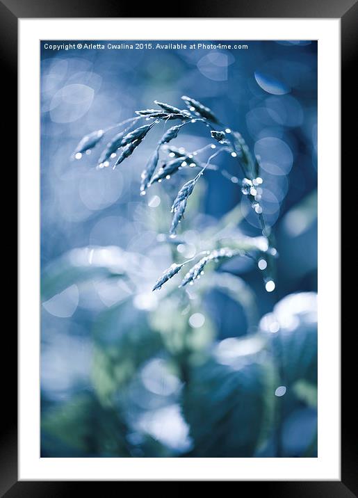 Blue fabulous grass shining Framed Mounted Print by Arletta Cwalina