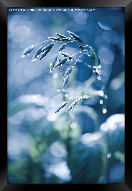 Blue fabulous grass shining Framed Print by Arletta Cwalina