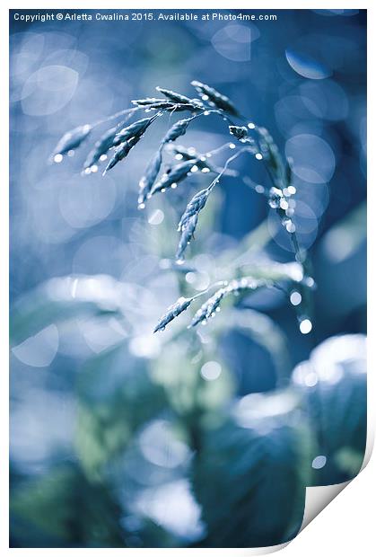 Blue fabulous grass shining Print by Arletta Cwalina