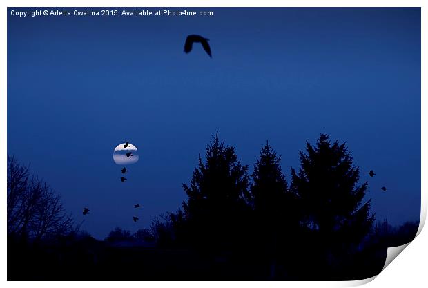 Full moon crows silhouette Print by Arletta Cwalina