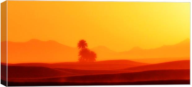  Hot Sahara Desert  Canvas Print by HQ Photo